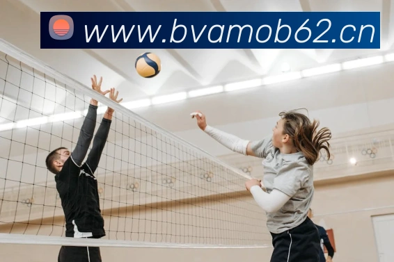 mk官方网站发展历程